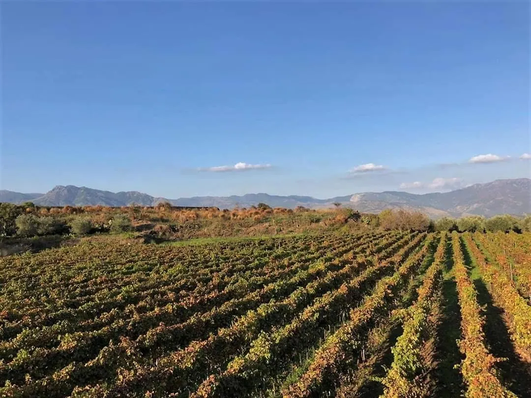 Animosa Suites Castiglione De Sicilia Italien